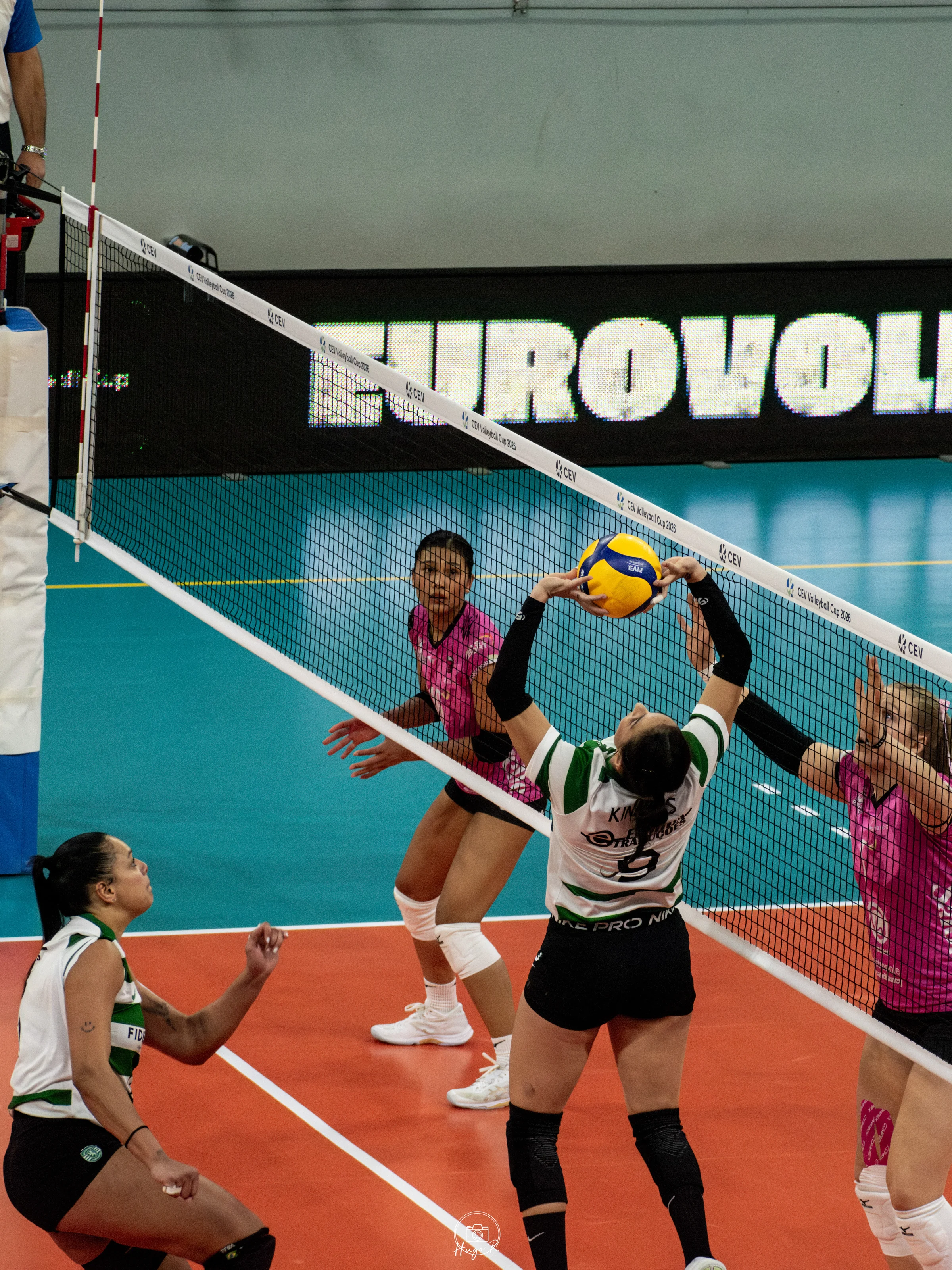 VNVB - Lisonne