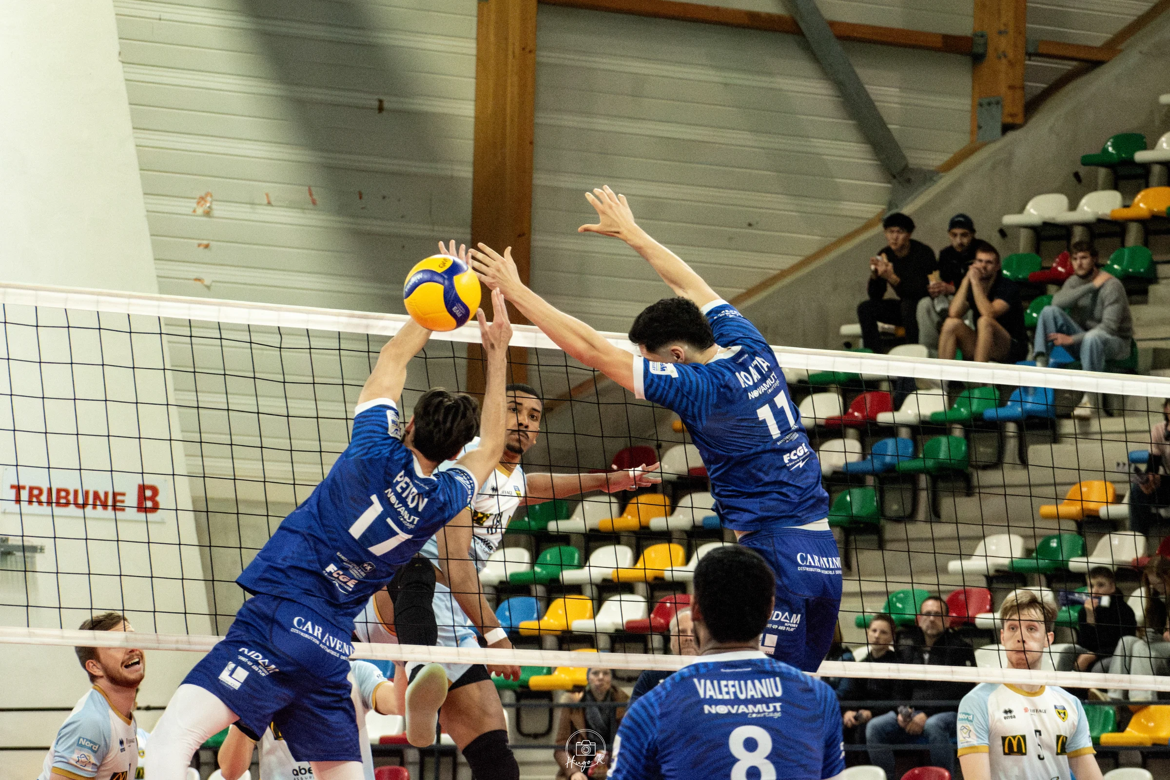 Photo 8