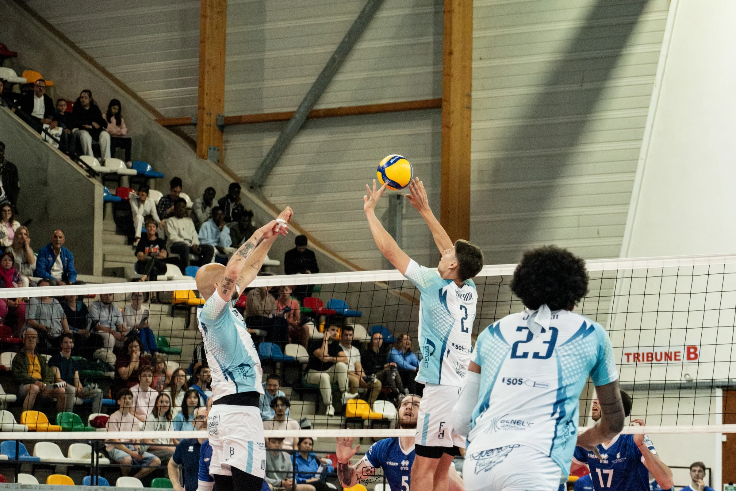 Photo 6